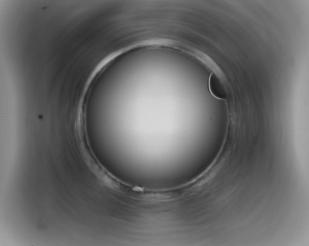 X0000114591044200910191553