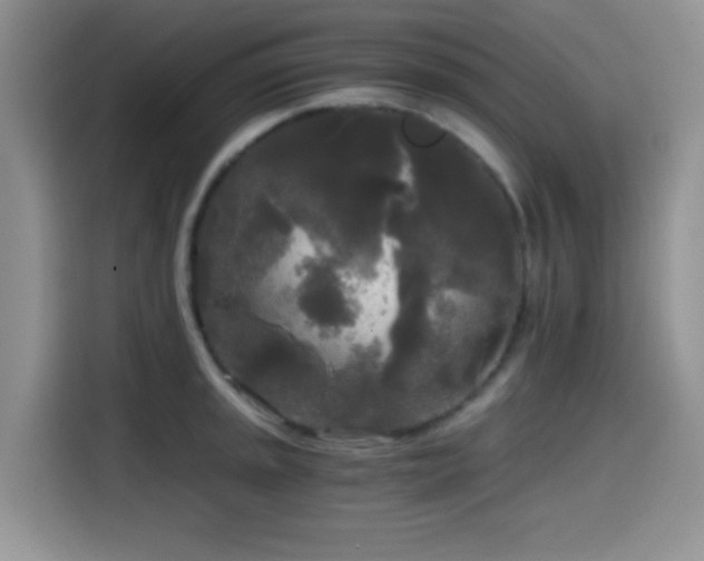 X0000114591045200910191553