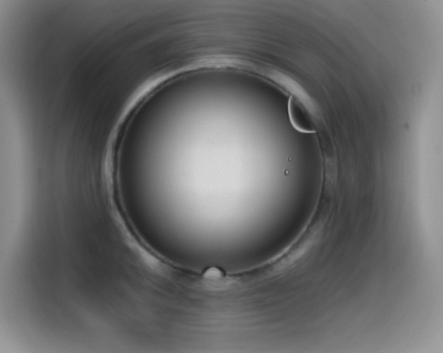 X0000114591046200910191553