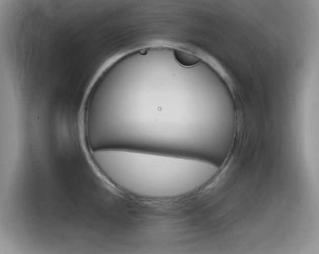 X0000114591048200910191553