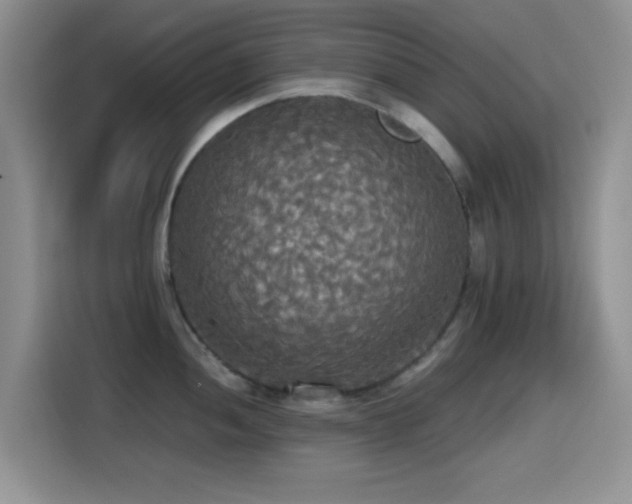 X0000114591052200910191553