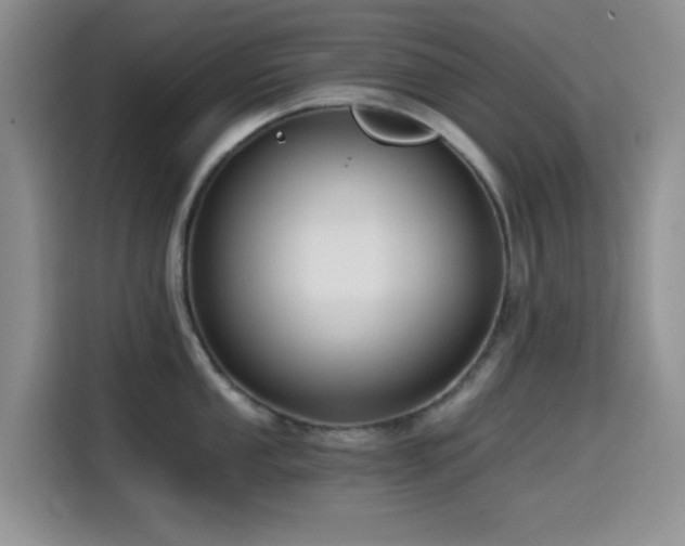 X0000114591053200910191553