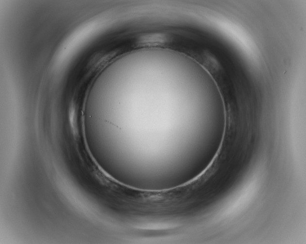 X0000114591054200910191553