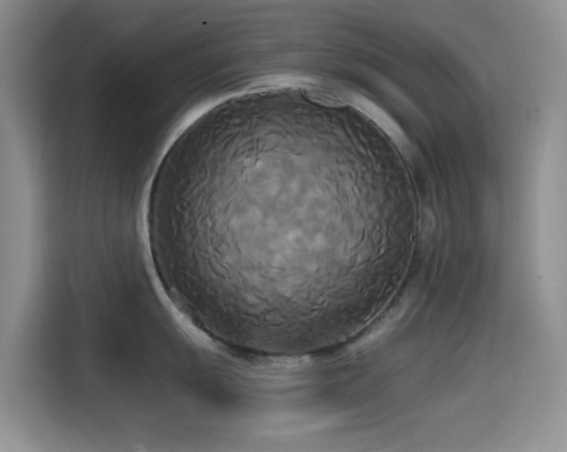 X0000114591055200910191553