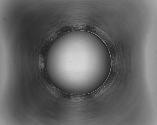 X0000114591058200910191552
