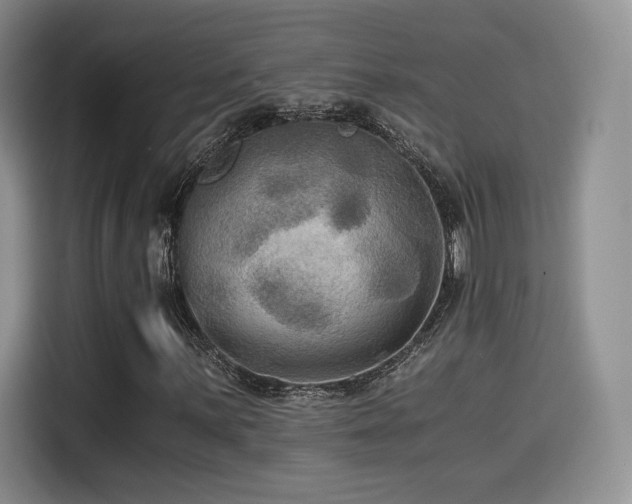 X0000114591059200910191552