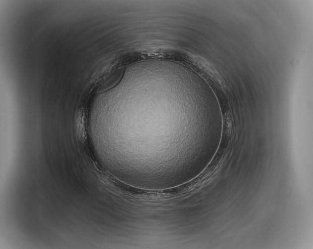 X0000114591060200910191552