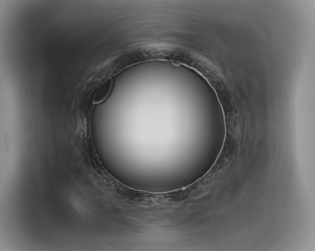 X0000114591061200910191552