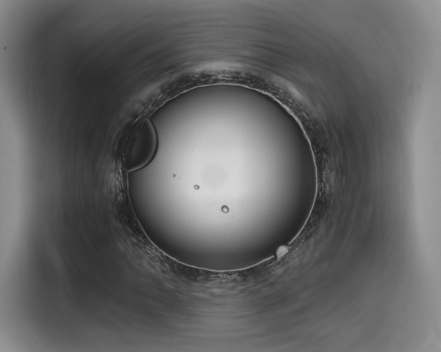 X0000114591062200910191552