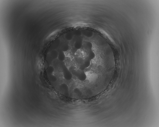 X0000114591063200910191552