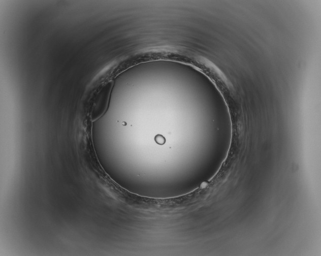 X0000114591064200910191552