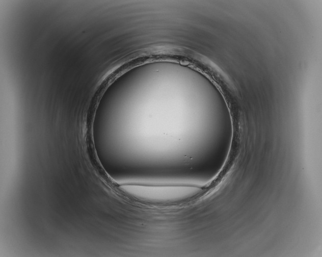 X0000114591065200910191552