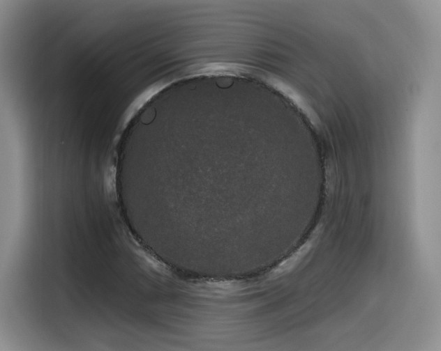 X0000114591066200910191552
