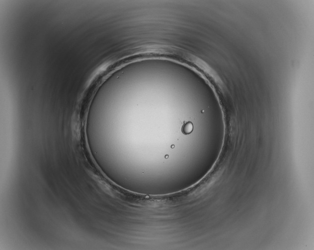 X0000114591067200910191552
