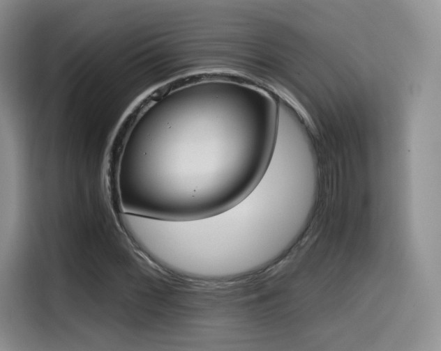 X0000114591068200910191552