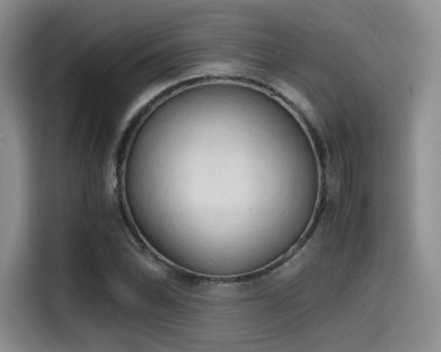X0000114591070200910191552