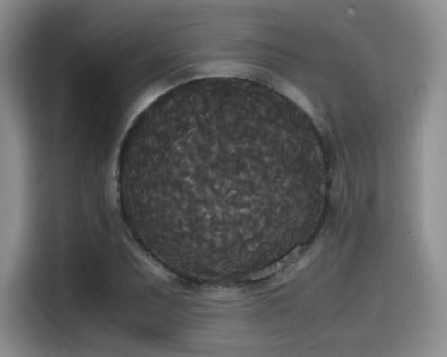 X0000114591071200910191552