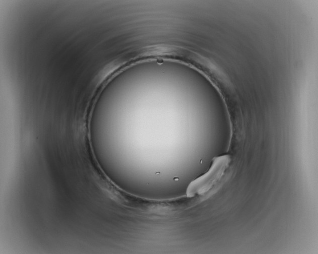 X0000114591073200910191552