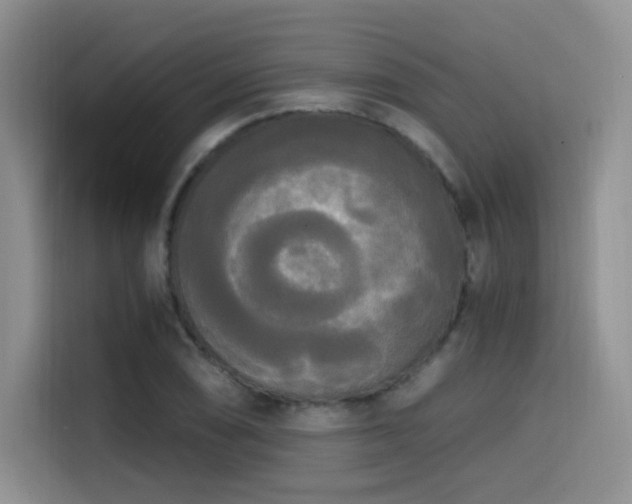 X0000114591074200910191552