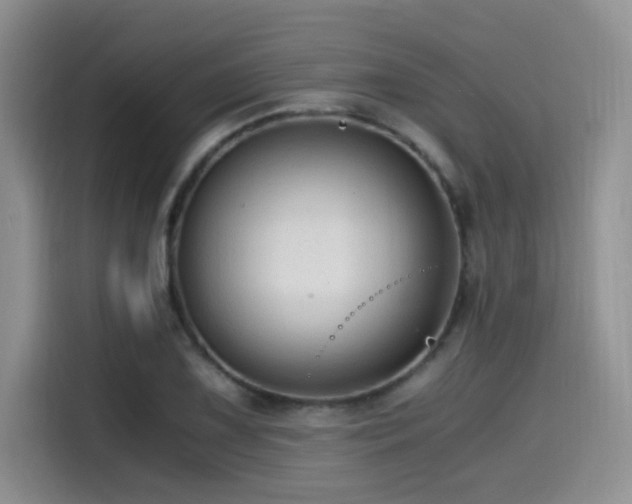 X0000114591075200910191552