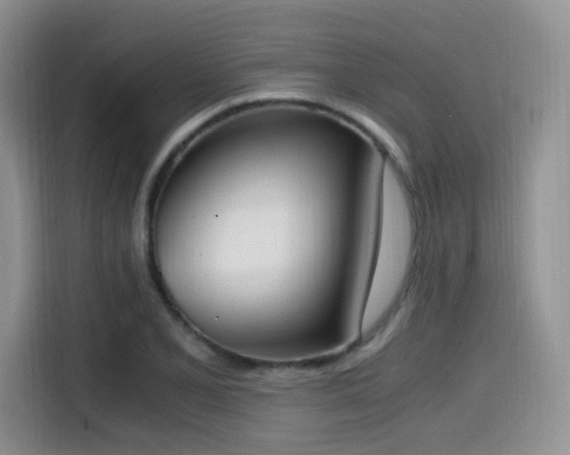 X0000114591077200910191552
