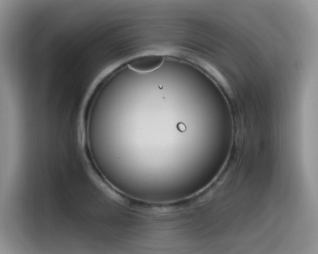X0000114591080200910191552