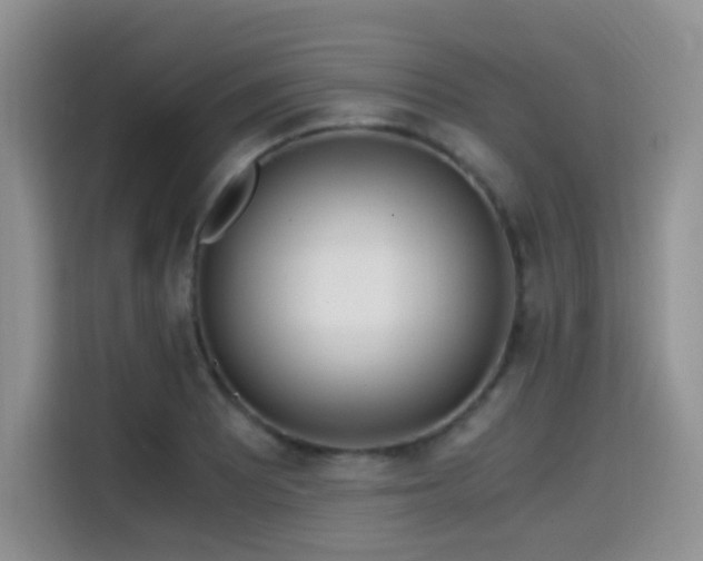 X0000114591081200910191552