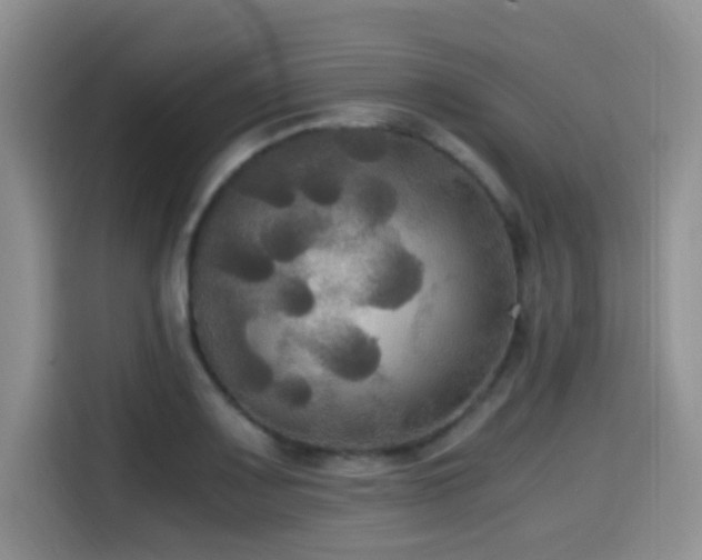 X0000114591083200910191552