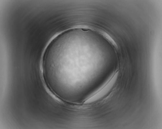 X0000114591084200910191552