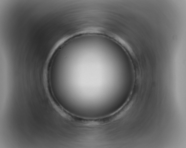 X0000114591085200910191552