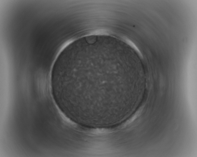 X0000114591087200910191552