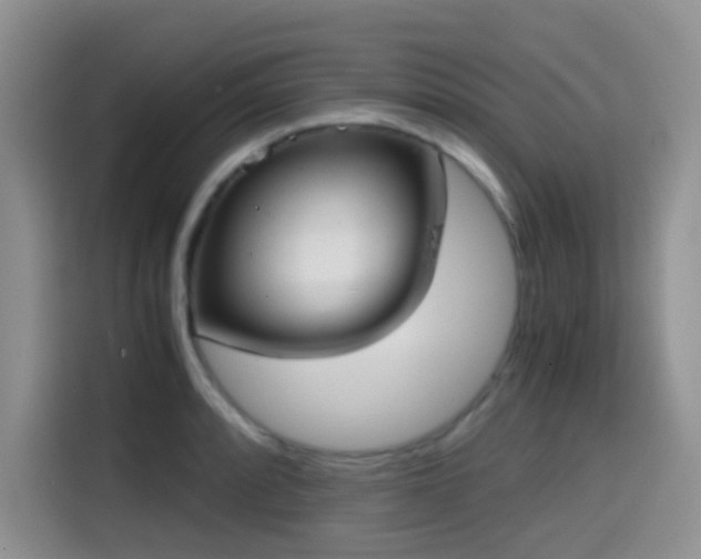 X0000114591088200910191552