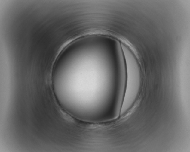 X0000114591089200910191552