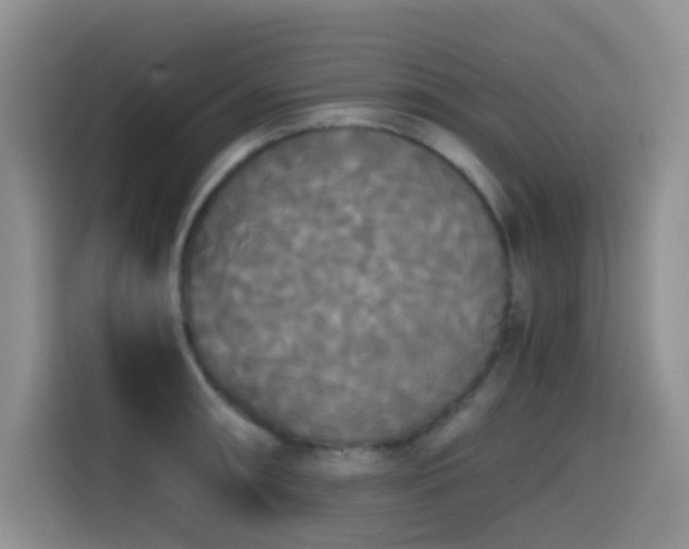 X0000114591090200910191552