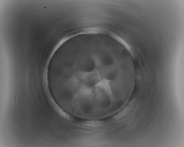 X0000114591091200910191552