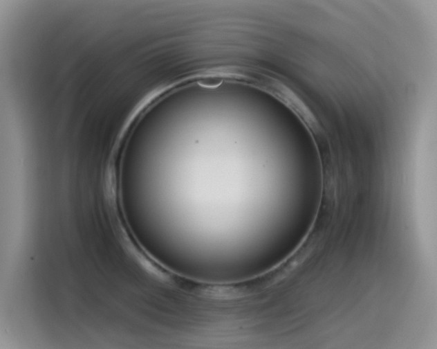 X0000114591092200910191552
