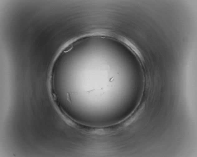 X0000114591093200910191552
