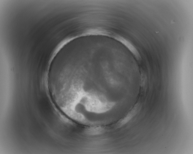 X0000114591094200910191552