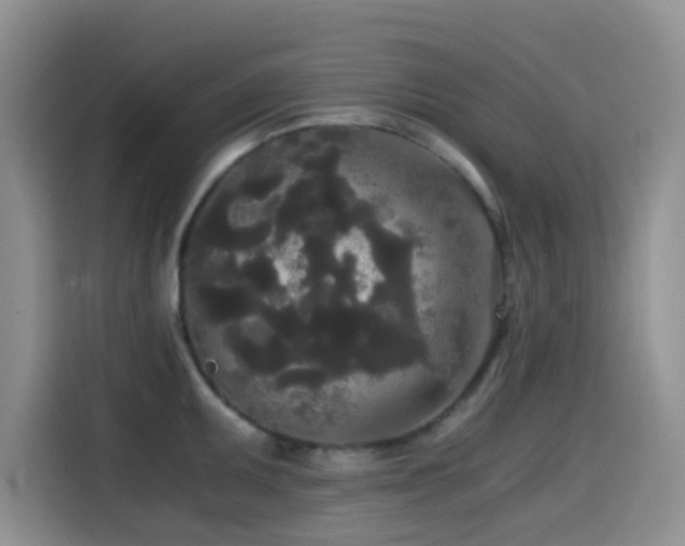 X0000114591095200910191552