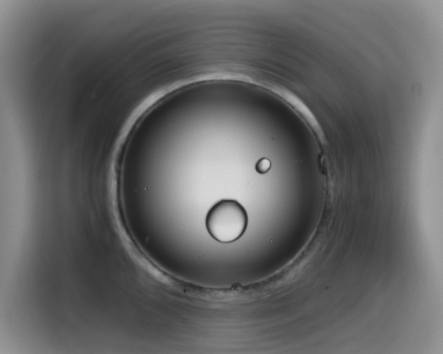 X0000114591096200910191552