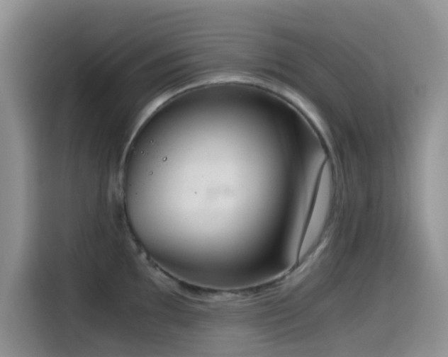 X0000114591097200910191552