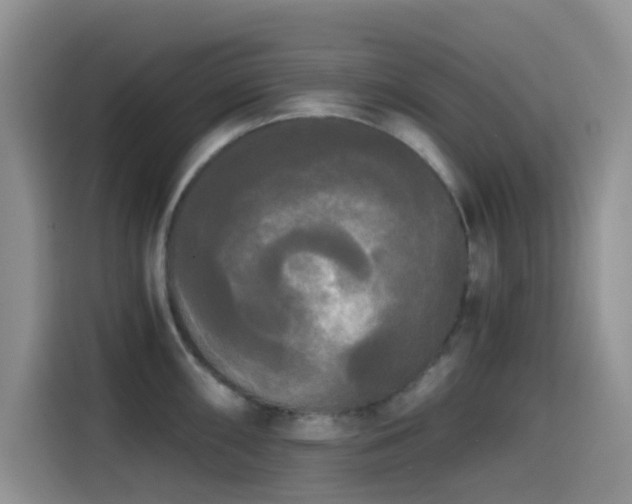 X0000114591098200910191552