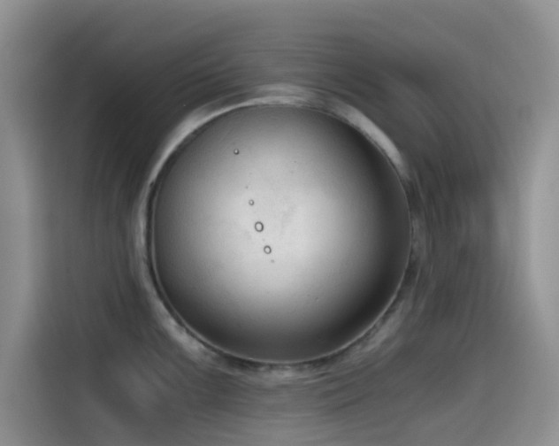 X0000114591099200910191552