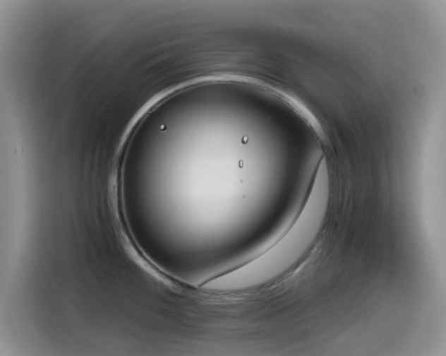 X0000114591100200910191552