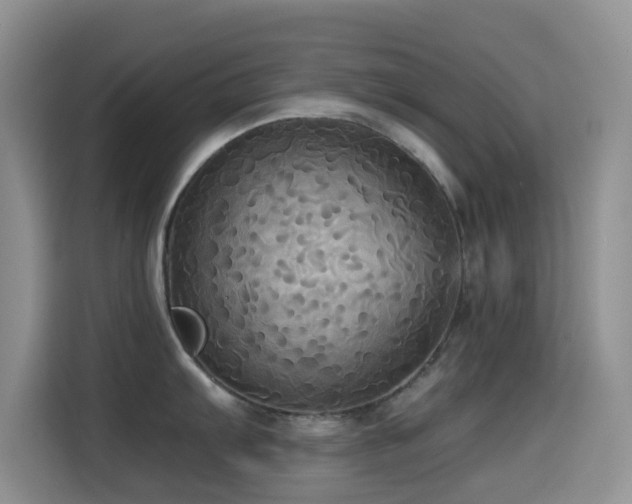 X0000114591103200910191552