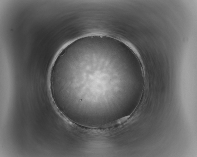 X0000114591104200910191552