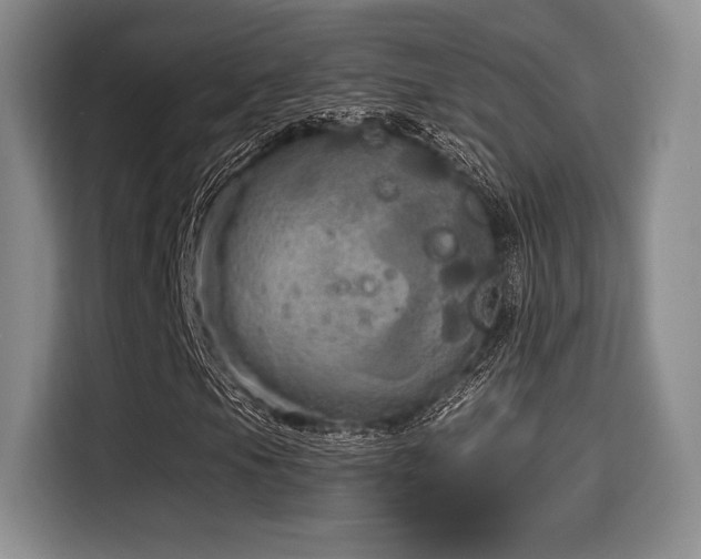 X0000114591105200910191551