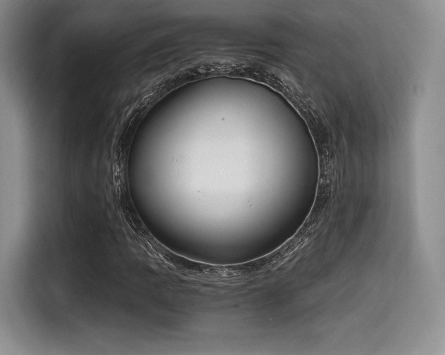 X0000114591109200910191551