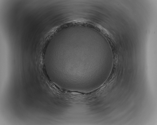 X0000114591110200910191551