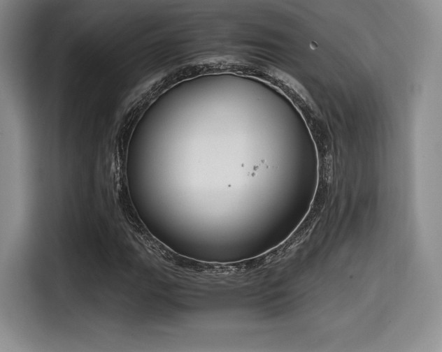 X0000114591111200910191551